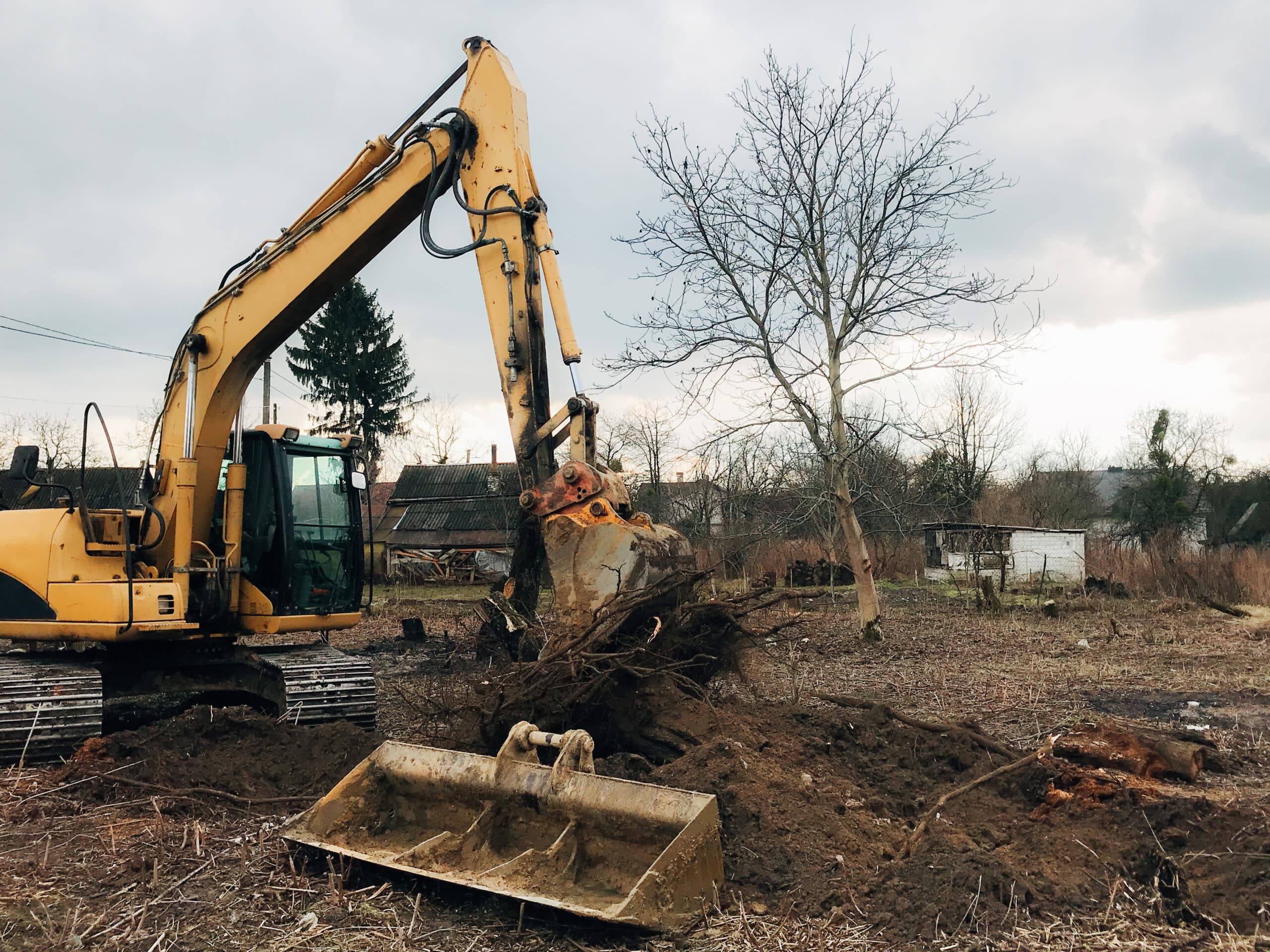 Site Clearance & Demolition